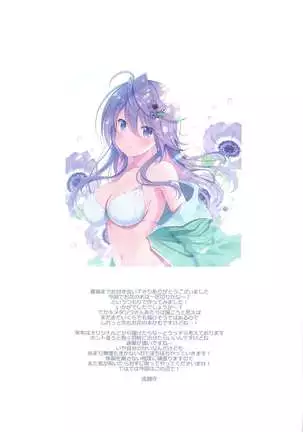 Colorful Flower Assort