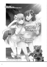 (C88) [Digital Lover (Nakajima Yuka)] DL - Toaru Soushuuhen 02 (Toaru Kagaku no Railgun)