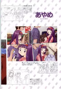 [Fujioka Tamae] RISE Capture & Materials