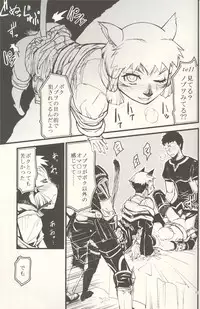 (C73) [Kuroshiki (Kurohiko)] Kuroshiki Vol. 6 (Final Fantasy XI)