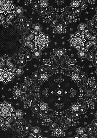 (C78) [The Fuckin Toyzaras (Asano Shimon)] BODY CAKE (Touhou Project)