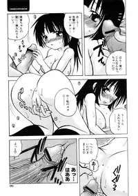 COMIC Hime Dorobou 2009-02