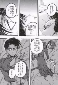 (C86) [Onjire (Tamy)] ONGRE2013 (Shingeki no Kyojin)