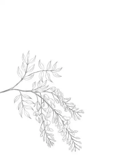 Hikari no Kimi no Saganaki Keikaku <Fujitsubo>