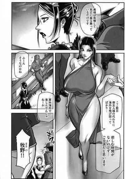 Dorei Miboujin, Saki