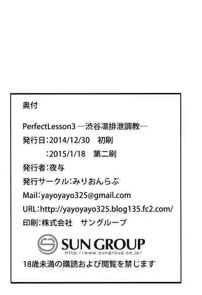 Perfect Lesson 3
