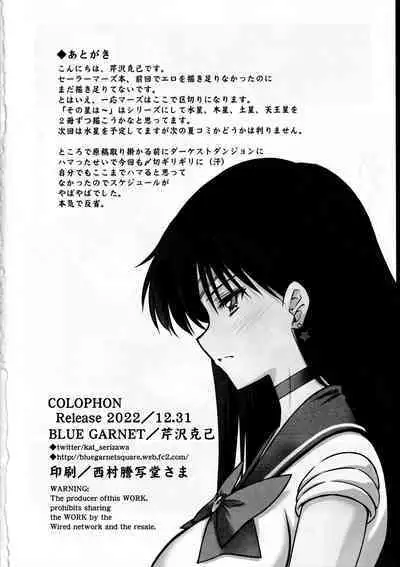 (C101) [BLUE GARNET (Serizawa Katsumi)] Sono Hoshi wa Kegasarete 2 (Bishoujo Senshi Sailor Moon)