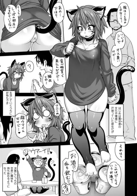 COMIC Unreal 2016-06 Vol. 61 10th Anniversary Bonus Contents DVD