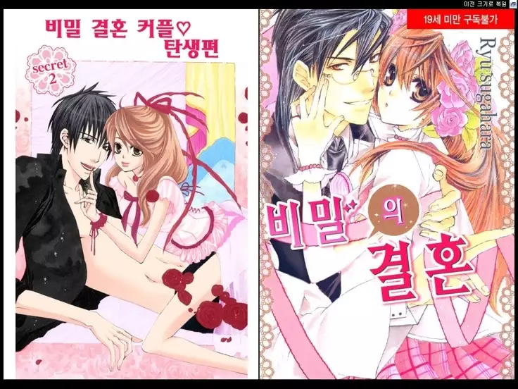 Naisho no Love Mariage | 비밀의 결혼