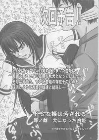 (C74) [Nozarashi (Nozarashi Satoru)] Do-S na Hime wa Kegasareru Haji no San - Kichiku no Utage