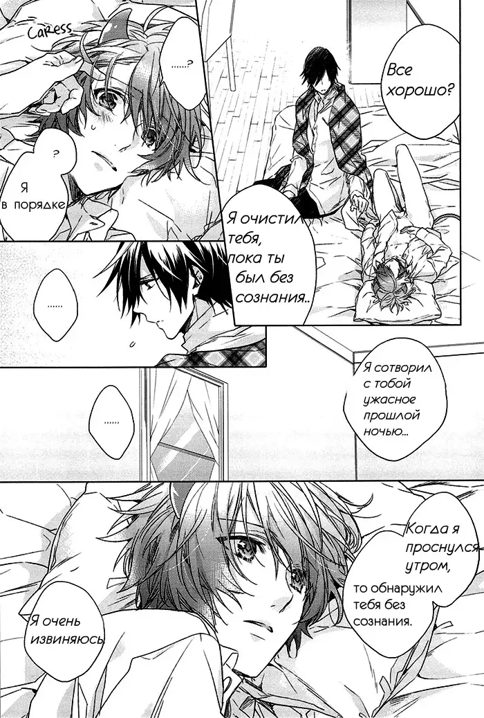 prism night jelly kiss