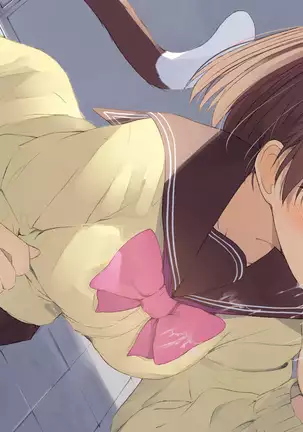 Ore no Kanojo ni wa Nekomimi ga Haeteiru