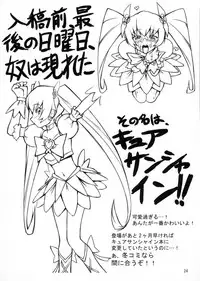 (C78) [Random parts (TAKUTEKS)] Gekkou Jourei (HeartCatch Precure!)