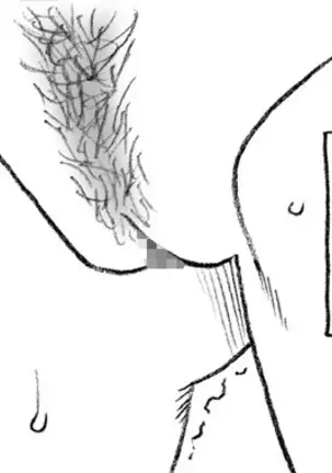 The Swimmer & The Janitor