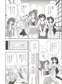 [Anthology] Bishoujo Doujinshi Anthology 2 - Moon Paradise 1 Tsuki no Rakuen (Bishoujo Senshi Sailor Moon)