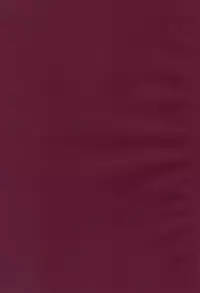 (C75) [Albatross (Mei, Nikusyo)] Yosuzume no Itazura (Touhou Project)