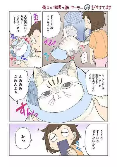 COMIC Ananga Ranga Vol. 75