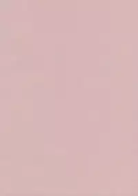 (Reitaisai 8) [Yumenokage (Kirino Souya)] Lunchi Pack (Touhou Project) [Chinese] [布洛基个人汉化]