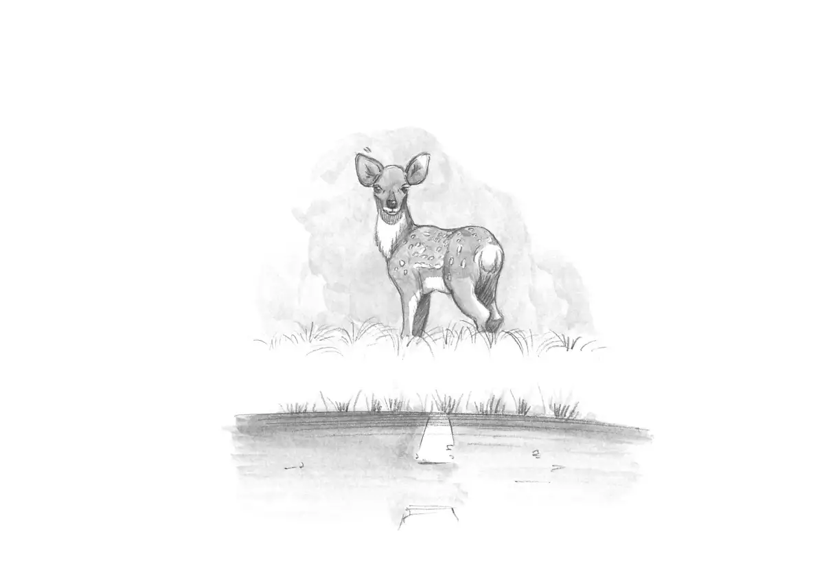 Mama Shot-ime - Biopanic Hen