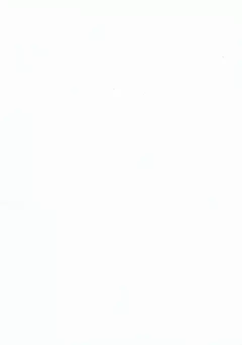 Gakkou de Seishun! 11