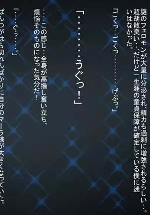 Fueromon Yakude Tairyonakadashi ~ Renzoku Tanetsuke Shasei De Seiekibote ~