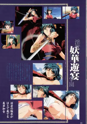 Injuu Gakuen You no Shou Secret File