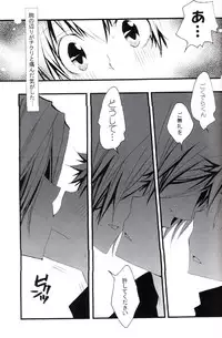 (C73) [BBP (Izumi Bouko)] Tadashii Maid no Susume (Katekyoo Hitman REBORN!)