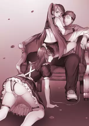 Furyoushounen Mesuochi Kousouki