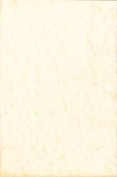 (C56) [Shokuyou Arikui (Hoshikawa Kirara)] LOVE LOVE PHANTASY (Digimon Adventure, Tenshi ni Narumon)