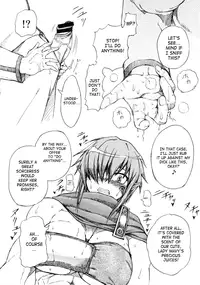 (C73) [SHD (Buchou Chinke, Hiromi)] Haijo DS Chou (Luminous Arc) [English] [Incomplete] [SaHa]