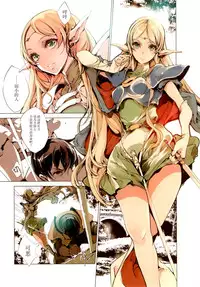 (C88) [70 Nenshiki Yuukyuu Kikan (Ohagi-san)] Elves (Record of Lodoss War) [Chinese] [脸肿汉化组]