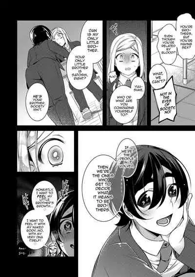 Onii-chan nan dakara 3