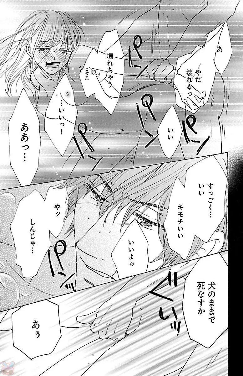 hatsujou elite ni osowaretemasu