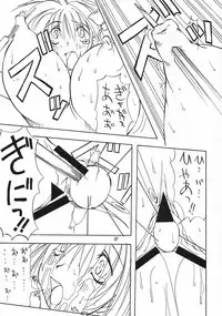 (C55) [Algolagnia (Mikoshiro Nagitoh)] Jadou Ou (Cardcaptor Sakura)