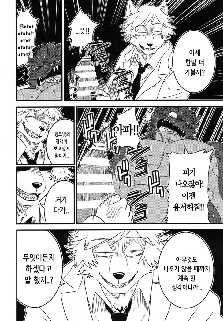 You are My Experimental Dragon | Kimi wa Boku no Jikken Ryu