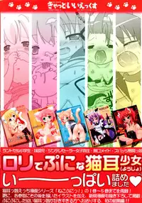 (C77) [Cat Expert (Nekousa)] Neko Puni! Remix