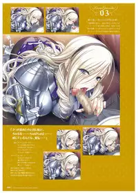 Walkure Romanze Visual Fan Book