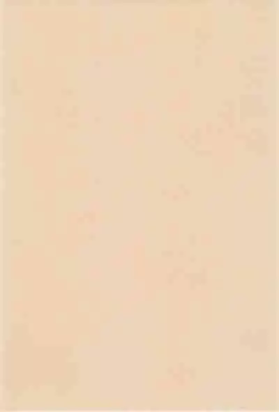 THERE’S SOMETHING ABOUT TORTE!