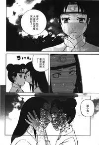 [Kishimoto Saisi] naruto ninja biography vol.05 (naruto) [chinese]