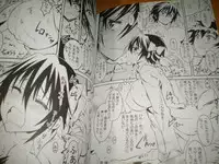 [Project Harakiri (Kaishaku)] Nisenisekoi 5.5 (Nisekoi) [Sample]