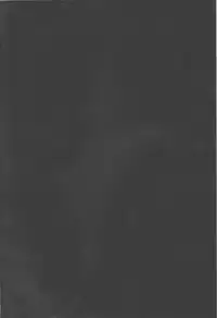 (C83) [Synthetic Garden (Miwa Yoshikazu)] Night Ops (Strike Witches)