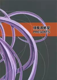 (C66) [Junpuumanpandou (Hida Tatsuo)] Ride on Shooting Star (Fate/stay night)