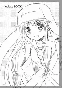 (C75) [inspi. (Izumi Rin)] Index no Hon nandayo. (Toaru Majutsu no Index)