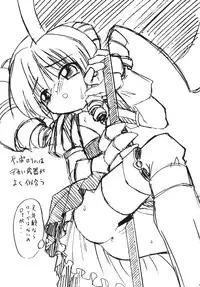 (C76) [Escargot Club (Juubaori Mashumaro)] Kusari Vol.8 (Queen's Blade)