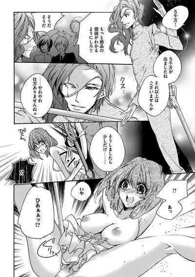 鬼畜兄弟の悶絶調教～私はいいなり奴隷～