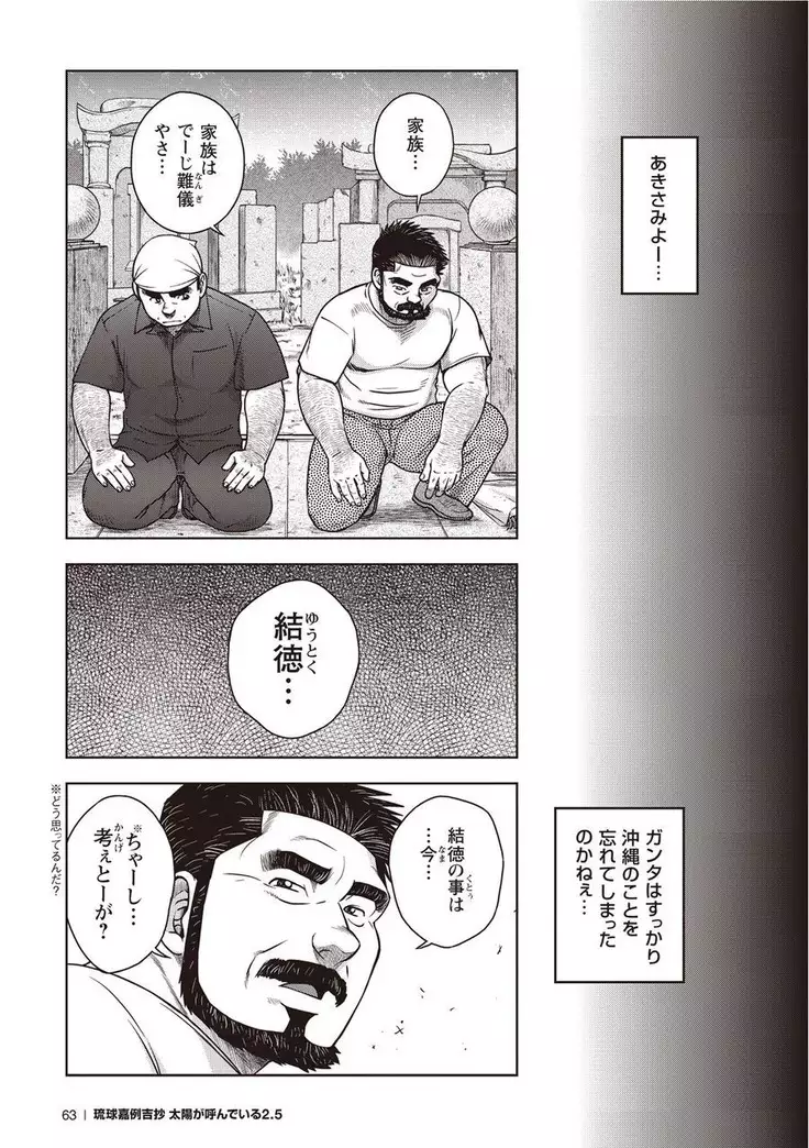 Taiyo ga Yonde Iru 2.5