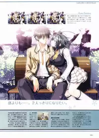 Sakura Sakura Visual Fan Book