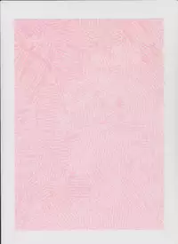 (ComiComi12) [Parupunte (Fukada Takushi)] F-61 Usagi Kari (Code Geass)