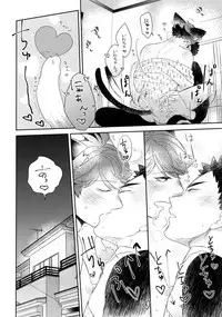 (RTS!!13) [Rototika (Kamishi Yue)] Iwachan no Neko ni Naritai 6 (Haikyuu!!)