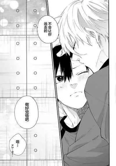 Motto Sawaritai - I want to touch and more